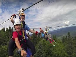Ziptrek Ecotours